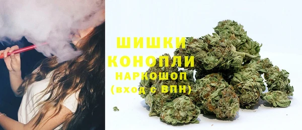 МДПВ Нягань