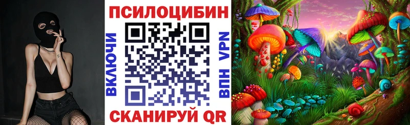 Псилоцибиновые грибы GOLDEN TEACHER Стрежевой