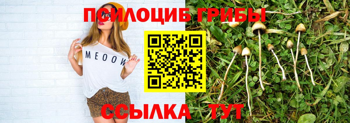 Галлюциногенные грибы GOLDEN TEACHER Стрежевой