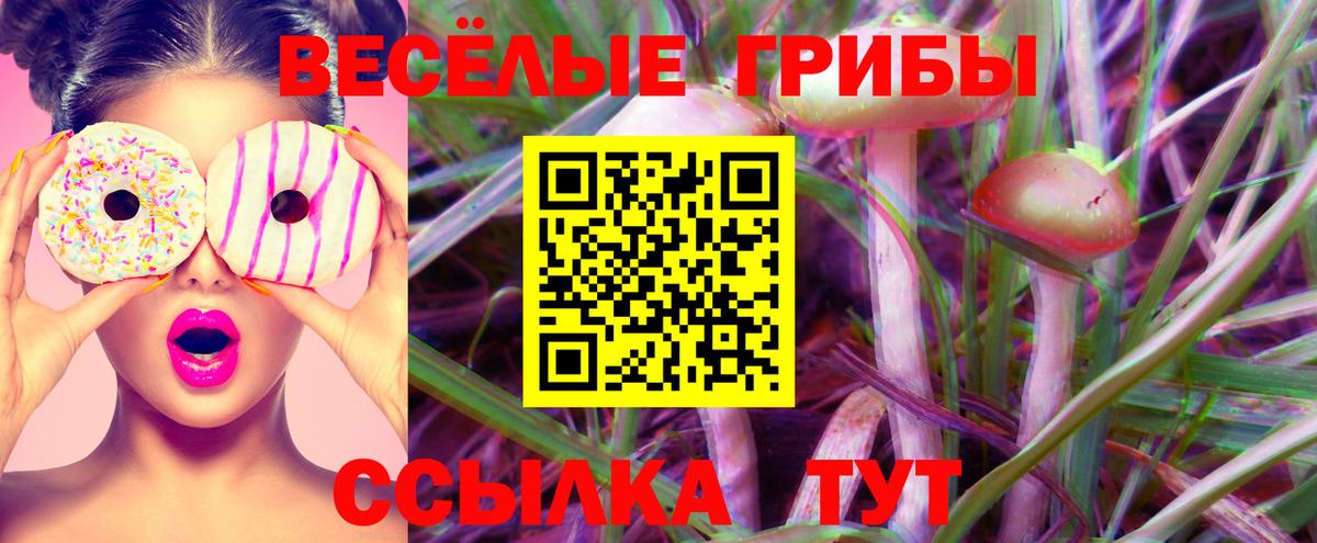 закладка  Стрежевой  Псилоцибиновые грибы прущие грибы 