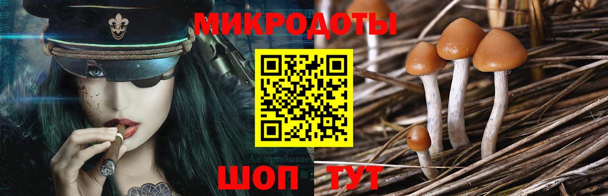 Стрежевой  как найти закладки  Вход с VPN  Галлюциногенные грибы MAGIC MUSHROOMS 